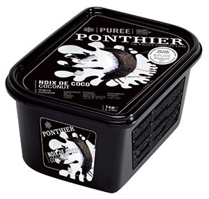 Ponthier Frozen Coconut Intense puree 1 kg × 6 - Carton