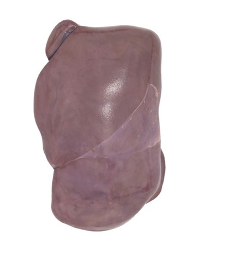 T. Boer & Zn Milk-Fed Veal Liver Average Weight Per Carton 19 kg
